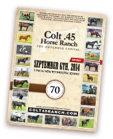Colt .45 Horse Ranch - Outcross Capital Horse Sale Catalog Download